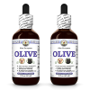 Olive (Olea Europaea) 2x2 Oz