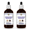 Endocrine Support, Veterinary Natural Alcohol-FREE Liquid Extract, Pet Herbal Supplement 2x4 Oz