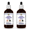 Joint Comfort Cat, Veterinary Natural Alcohol-FREE Liquid Extract, Pet Herbal Supplement 2x4 Oz