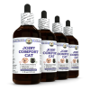 Joint Comfort Cat, Veterinary Natural Alcohol-FREE Liquid Extract, Pet Herbal Supplement 4x4 Oz