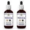 Yucca (Yucca Glauca) 2x2 Oz