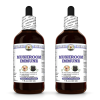 Mushroom Immune, Veterinary Natural Alcohol-FREE Liquid Extract, Pet Herbal Supplement 2x4 Oz