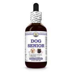 Dog Senior, Veterinary Natural Alcohol-FREE Liquid Extract, Pet Herbal Supplement
