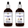 Rejuvenation Dog, Veterinary Natural Alcohol-FREE Liquid Extract, Pet Herbal Supplement 2x4 Oz