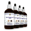 Rejuvenation Dog, Veterinary Natural Alcohol-FREE Liquid Extract, Pet Herbal Supplement 4x4 Oz