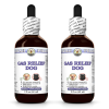 Gas Relief Dog, Veterinary Natural Alcohol-FREE Liquid Extract, Pet Herbal Supplement 2x2 Oz