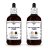 Antioxidant Plus, Veterinary Natural Alcohol-FREE Liquid Extract, Pet Herbal Supplement 2x4 Oz