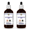 Rejuvenation Cat, Veterinary Natural Alcohol-FREE Liquid Extract, Pet Herbal Supplement 2x4 Oz
