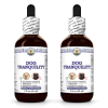 Dog Tranquility, Veterinary Natural Alcohol-FREE Liquid Extract, Pet Herbal Supplement 2x2 Oz
