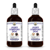 Joint Comfort Dog, Veterinary Natural Alcohol-FREE Liquid Extract, Pet Herbal Supplement 2x4 Oz