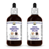 Dog Immune Plus, Veterinary Natural Alcohol-FREE Liquid Extract, Pet Herbal Supplement 2x4 Oz