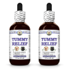 Tummy Relief, Veterinary Natural Alcohol-FREE Liquid Extract, Pet Herbal Supplement 2x2 Oz