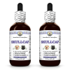 Skullcap (Scutellaria Lateriflora) 2x2 Oz