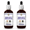 Immunity Enhancer, Veterinary Natural Alcohol-FREE Liquid Extract, Pet Herbal Supplement 2x2 Oz