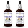 Catnip (Nepeta Cataria) 2x2 Oz