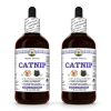 Catnip (Nepeta Cataria) 2x4 Oz