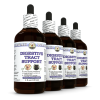 Digestive Tract Support, Veterinary Natural Alcohol-FREE Liquid Extract, Pet Herbal Supplement 4x4 Oz