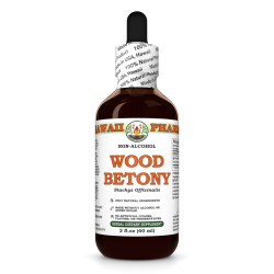Wood Betony Alcohol-FREE Liquid Extract, Organic Stachys Officinalis (Stachys Officinalis) Dried Herb Glycerite