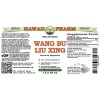 Wang Bu Liu Xing Alcohol-FREE Liquid Extract, Wang Bu Liu Xing, Vaccaria (Vaccaria Hispanica) Seed Glycerite