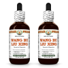Wang Bu Liu Xing (Vaccaria Hispanica) 2x2 Oz