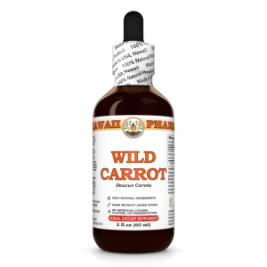 Wild Carrot Liquid Extract, Wild Carrot (Daucus Carota) Dried Seeds Tincture