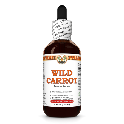 Wild Carrot Liquid Extract, Wild Carrot (Daucus Carota) Dried Seeds Tincture