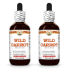 Wild Carrot (Daucus Carota) 2x2 Oz