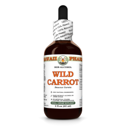 Wild Carrot Alcohol-FREE Liquid Extract, Wild Carrot (Daucus Carota) Dried Seed Glycerite