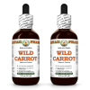 Wild Carrot (Daucus Carota) 2x2 Oz