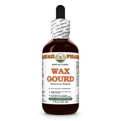 Wax Gourd Liquid Extract, Dried seed (Benincasa Hispida) Alcohol-Free Glycerite