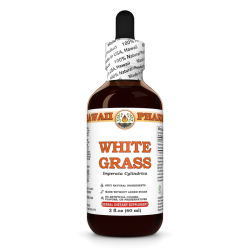 White Grass Liquid Extract, Dried rhizome (Imperata Cylindrica) Tincture