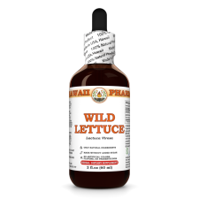 Wild Lettuce Liquid Extract, Organic Wild Lettuce (Lactuca Virosa) Dried Herb Tincture