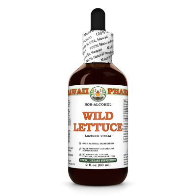 Wild Lettuce Alcohol-FREE Liquid Extract, Organic Wild Lettuce (Lactuca Virosa) Dried Herb Glycerite