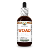 Woad (Isatis Indigotica) 2 Oz