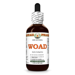 Woad (Isatis Indigotica) Glycerite, Dried Leaves Alcohol-Free Liquid Extract, Da Qing Ye, Glycerite Herbal Supplement