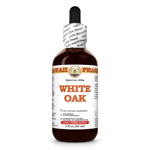 White Oak Liquid Extract, White Oak (Quercus Alba) Dried Bark Tincture