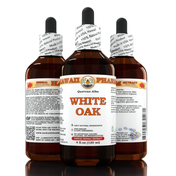 White Oak (Quercus alba)