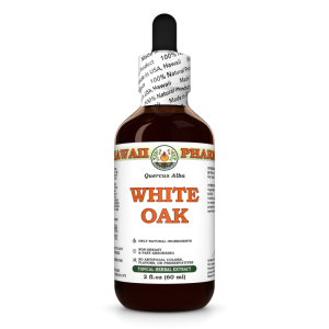White Oak Alcohol-FREE Liquid Extract, White Oak (Quercus Alba) Dried Bark Glycerite