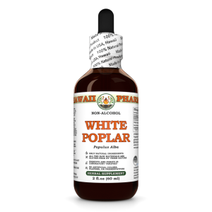 White Poplar Alcohol-FREE Liquid Extract, White Poplar (Populus Alba) Dried Bark Glycerite