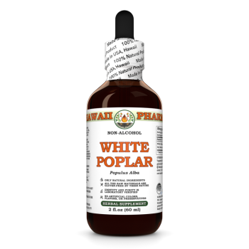 Populus Alba · Rinde, alkoholfreier Extrakt