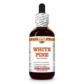 Pinus Strobus · Rinde, alkoholische Tinktur