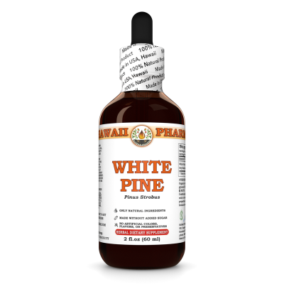 White Pine Liquid Extract, White Pine (Pinus Strobus) Dried Bark Tincture