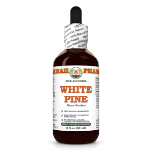 White Pine Alcohol-FREE Liquid Extract, White Pine (Pinus Strobus) Dried Bark Glycerite