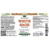 White Sage Alcohol-FREE Liquid Extract, White Sage (Salvia Apiana) Leaf Glycerite