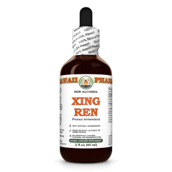 Xing Ren (Prunus Armeniaca) Tincture, Dried Kernel ALCOHOL-FREE Liquid Extract