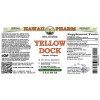 Yellow Dock Alcohol-FREE Liquid Extract, Organic Yellow Dock (Rumex Crispus) Dried Root Glycerite