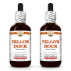 Yellow Dock (Rumex Crispus) 2x2 Oz