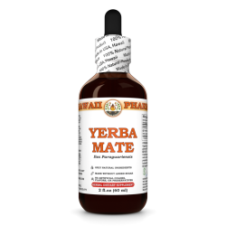 Yerba Mate Liquid Extract, Organic Yerba Mate (Ilex Paraguariensis) Dried Leaf Tincture