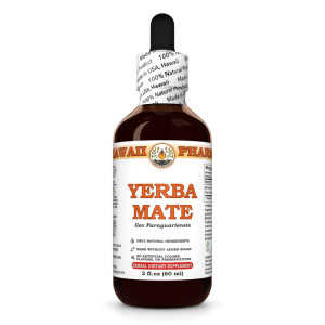 Yerba Mate Liquid Extract, Yerba Mate (Ilex Paraguariensis) Dried Leaf Tincture