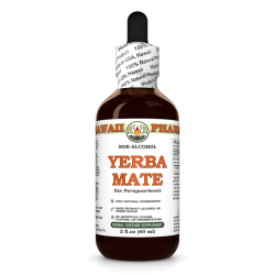 Yerba Mate Alcohol-FREE Liquid Extract, Organic Yerba Mate (Ilex Paraguariensis) Dried Leaf Glycerite